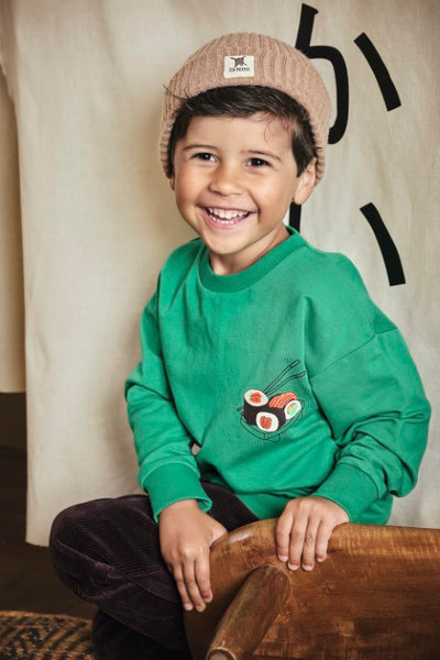 Z8 Mini W25 Boys Sweaters Tijl Jelly bean