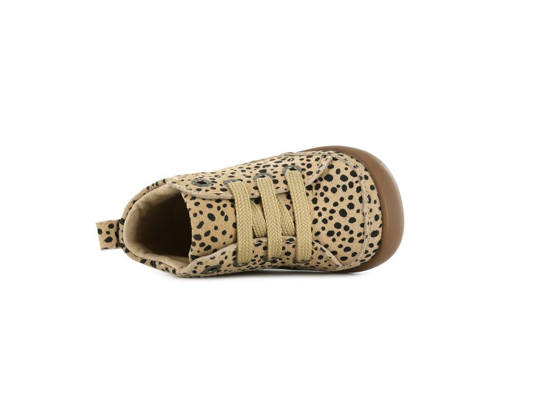 Shoesme beige BabyFlex schoentjes met zwarte dots BF21W005-K